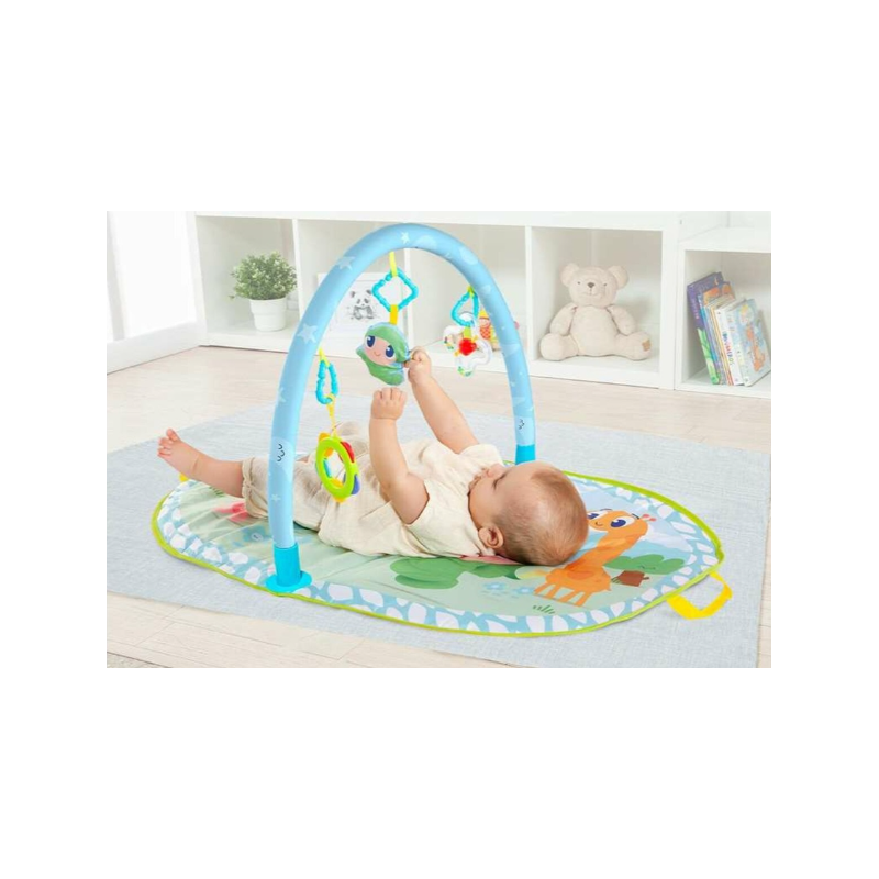 Mi Primer Gimnasio Molto