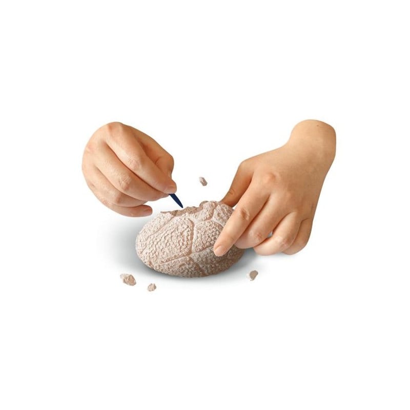 Dino World Set De Exploración Surtido