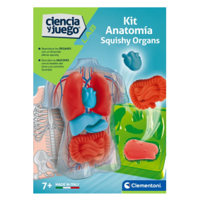 Kit Anatomía Squishy Órganos De Clementoni