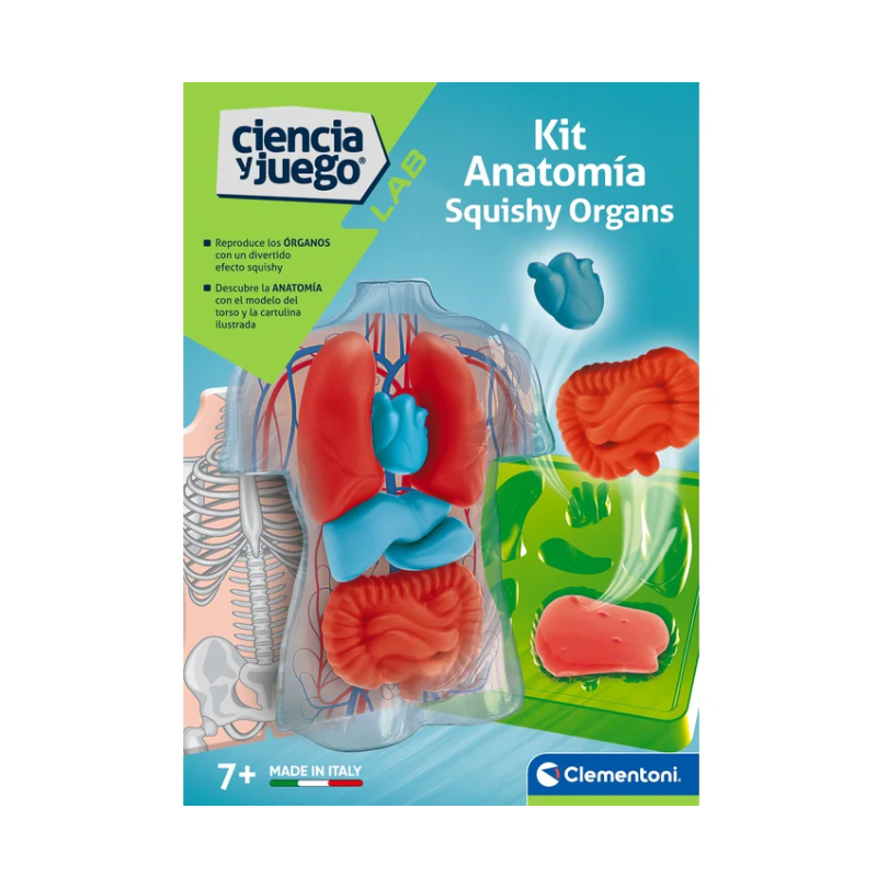 Kit Anatomía Squishy Órganos De Clementoni