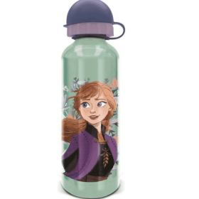 Botella Aluminio Frozen 530 ML De Stor