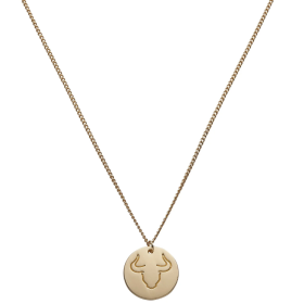 Collar Signo Zodíaco Tauro De Draeger 2