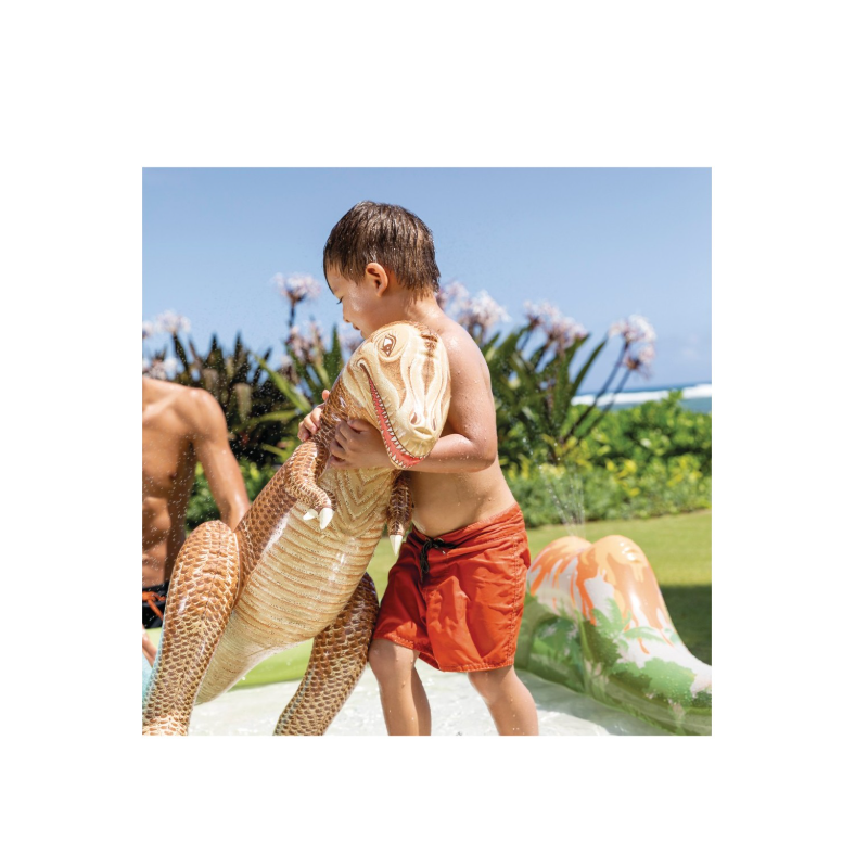 Centro De Juegos Acuático Dinosaurios