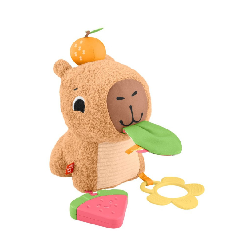 Capibara Estimulos Y Juego