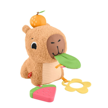 Capibara Estimulos Y Juego