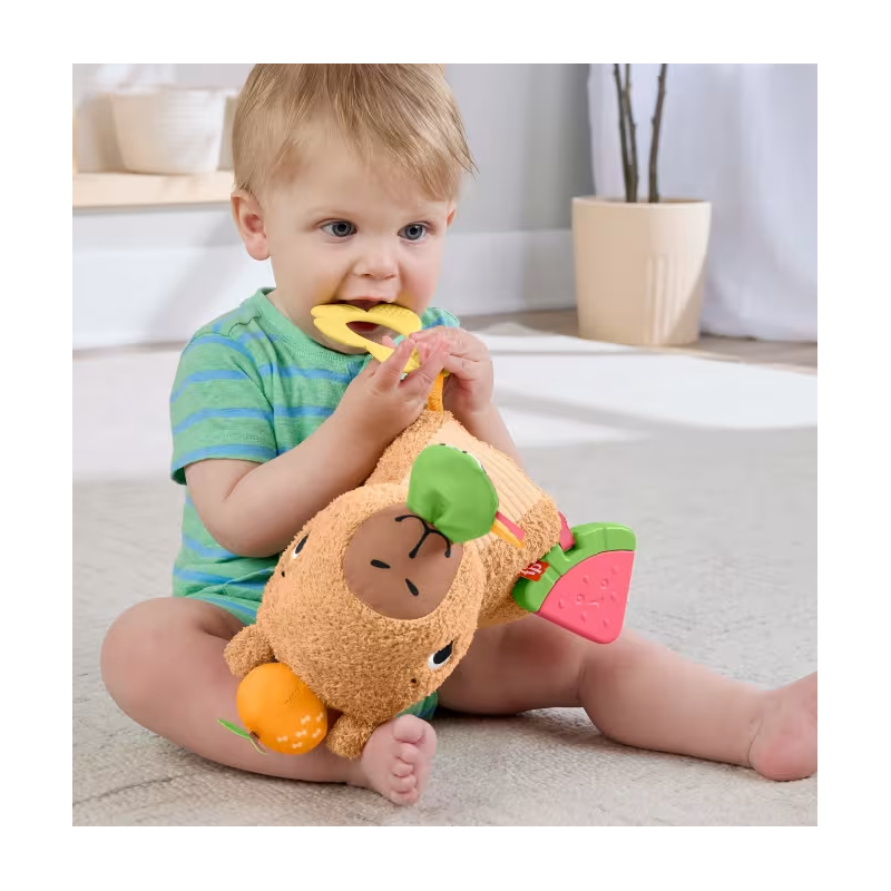 Capibara Estimulos Y Juego