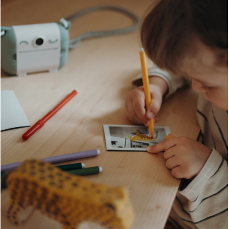 KidyWolf Papel Adhesivo 5 Rollos