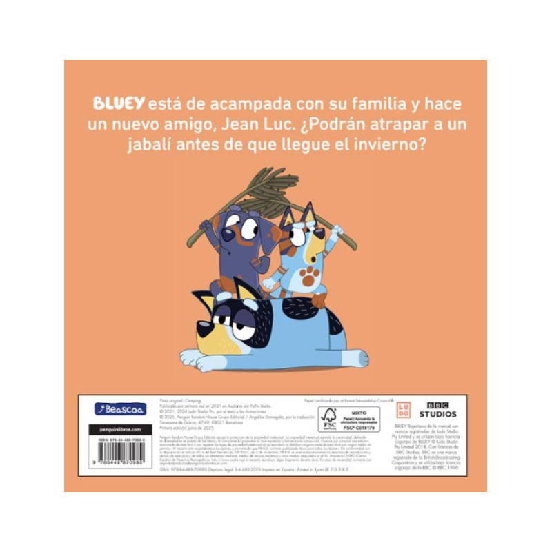 Bluey Acampada