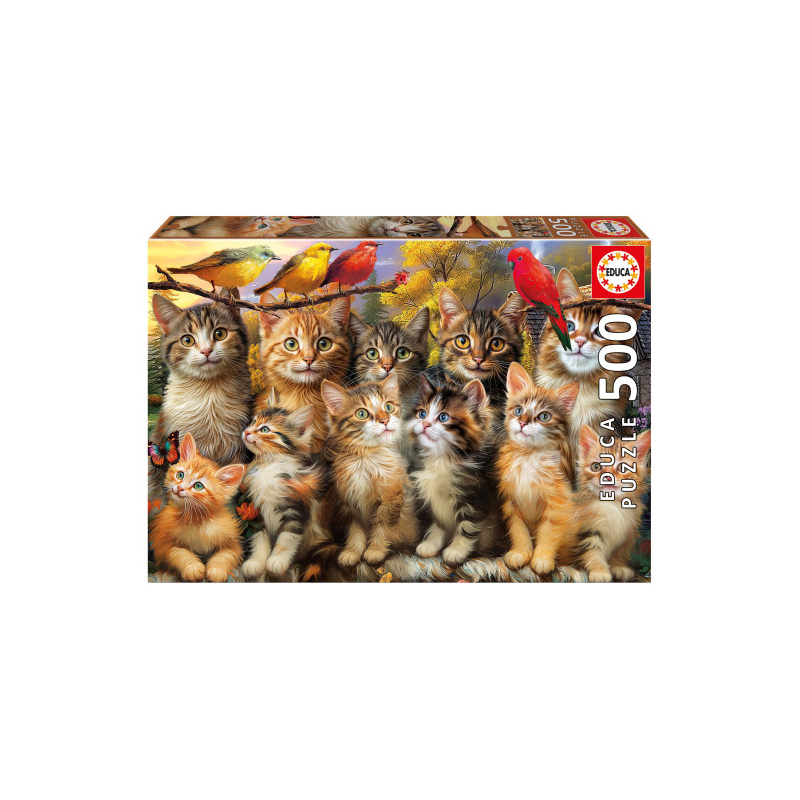 Puzzle Gatitos Y Pájaros 500 Pcs