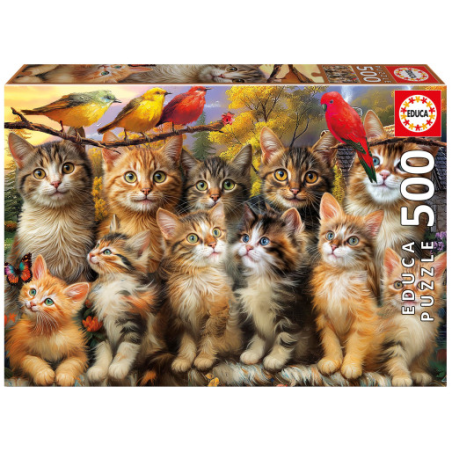 Puzzle Gatitos Y Pájaros 500 Pcs