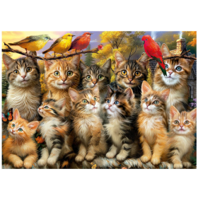 Puzzle Gatitos Y Pájaros 500 Pcs 2