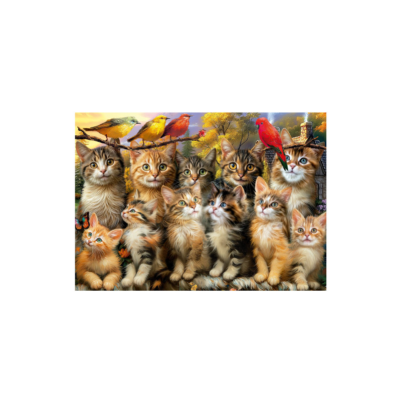 Puzzle Gatitos Y Pájaros 500 Pcs
