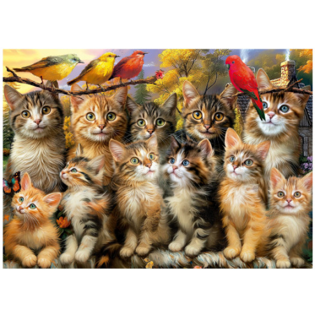 Puzzle Gatitos Y Pájaros 500 Pcs