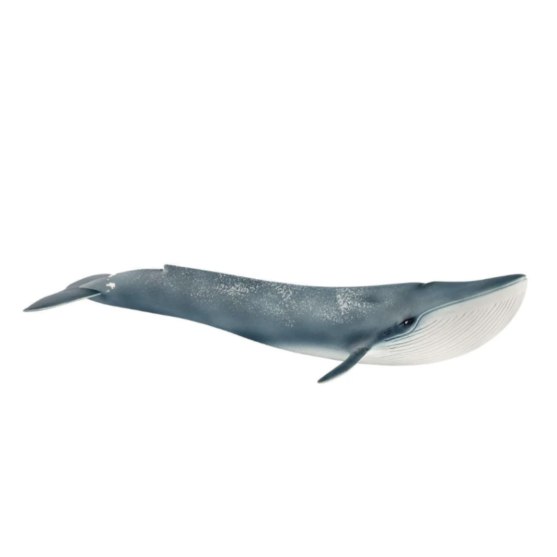 Schleich Ballena Azul De Schleich