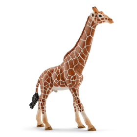 Schleich Jirafa Macho