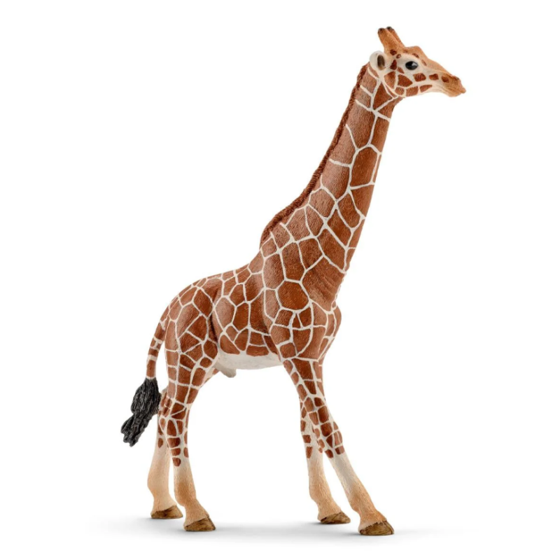 Schleich Jirafa Macho De Schleich
