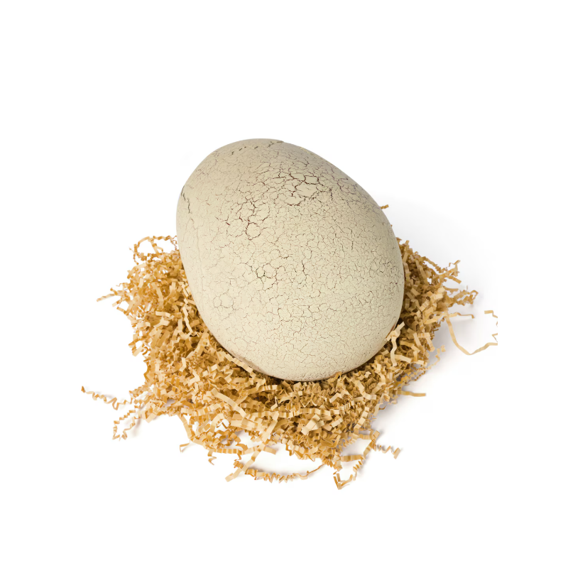 JW T-Rex Primal Hatch Dinosaurio Interactivo