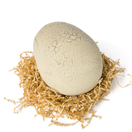 JW T-Rex Primal Hatch Dinosaurio Interactivo