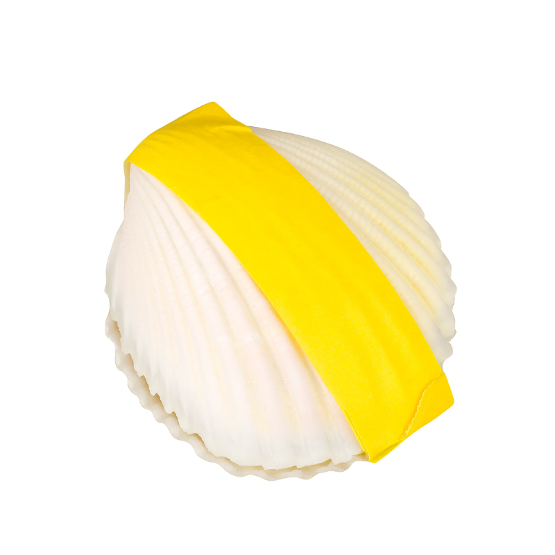 Conchas Mágicas Surtido