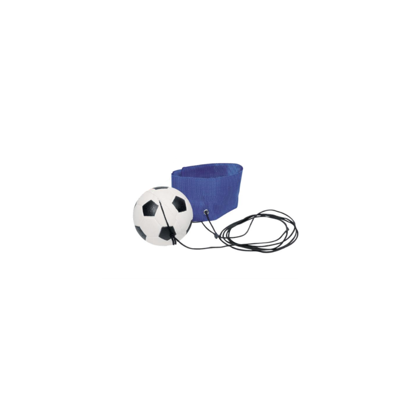 Pelota De Goma Con Cuerda