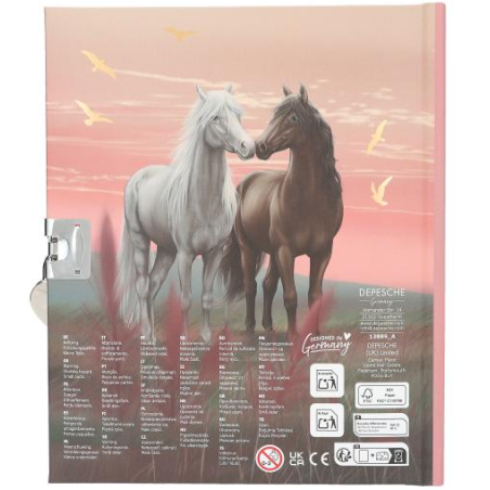 Miss Melody Diario Personal