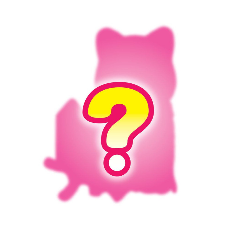 Sobre Sorpresa Sylvanian Families Constructor