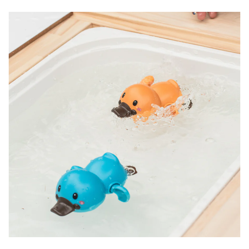 Ornitorrincos Para Baño