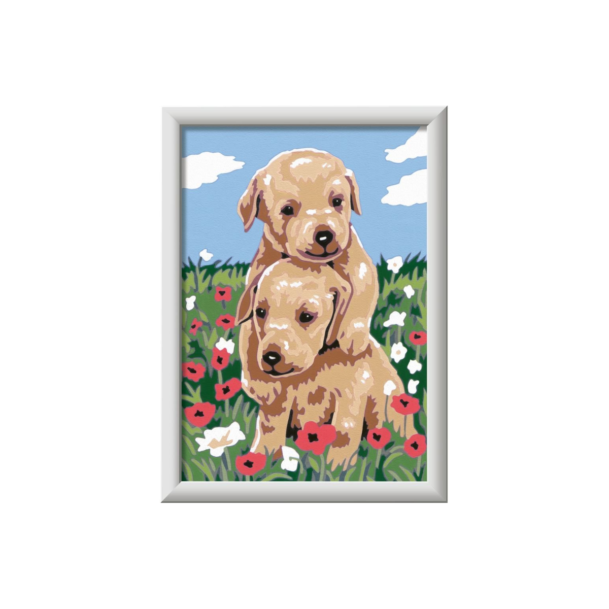 ZMHZMY Kit de pintura al óleo por números, diseño de perro Golden Retriever, kit de pintura por números, pintura al óleo, lienzo para decoración del hogar, 40 x 50 cm sin marco