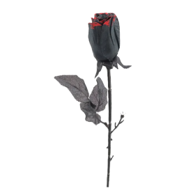 Rosa Poliéster Negra