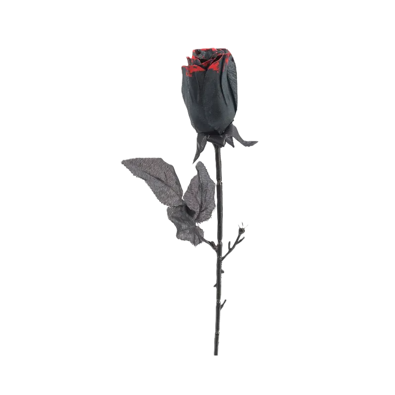 Rosa Poliéster Negra De Juinsa