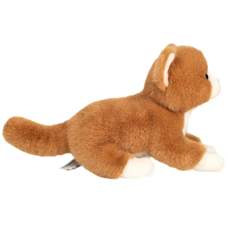 Peluche Gatito 20 Cm Surtidos