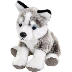 Peluche Mini Husky