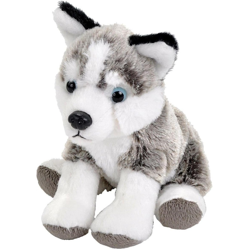 Peluche Mini Husky
