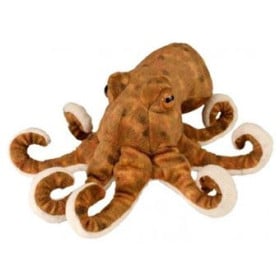 CK Mini Pulpo