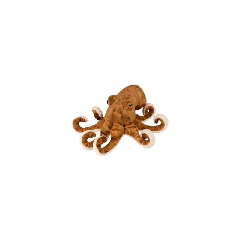 CK Mini Pulpo