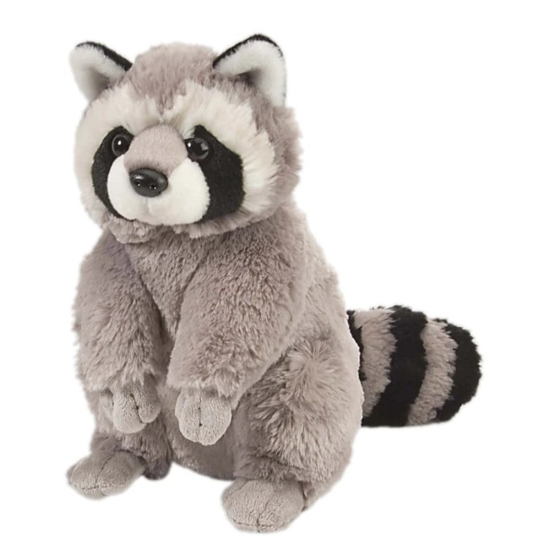Mapache