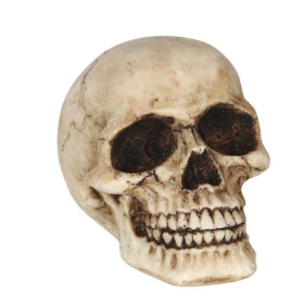 Calavera de Resina 8 cm