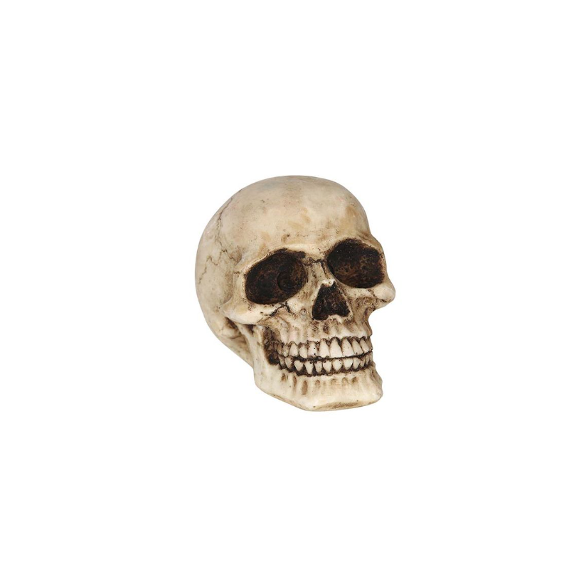 Calavera de Resina 8 cm