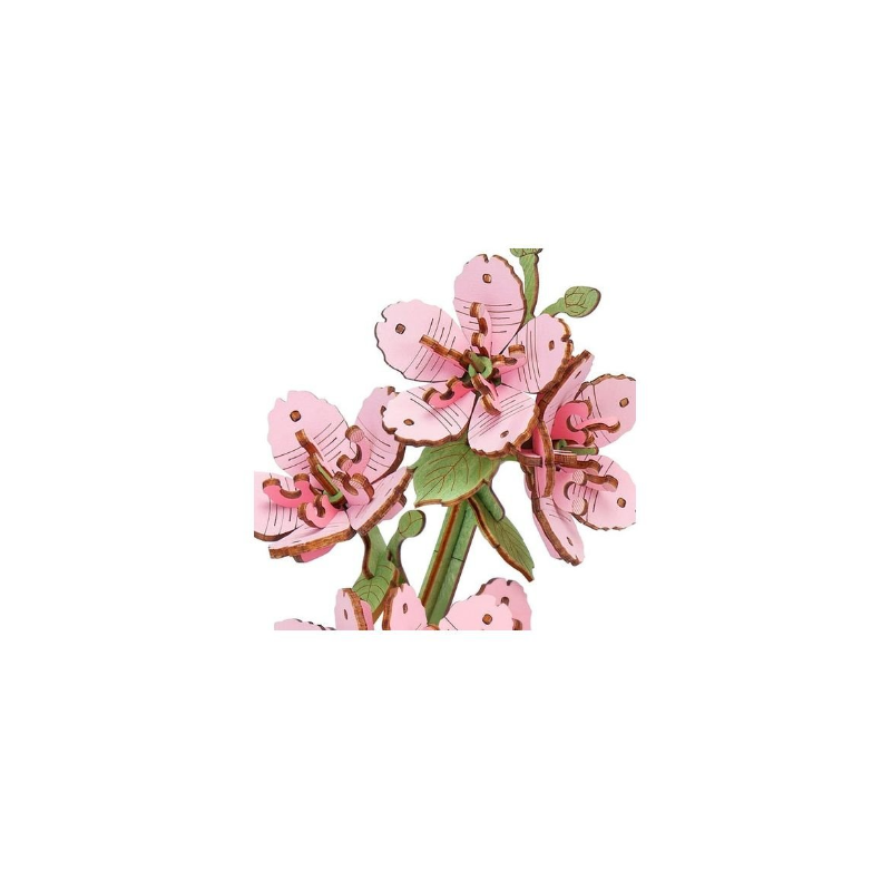 Maqueta Sakura
