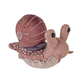 Caracol De Jardín Wild Republic