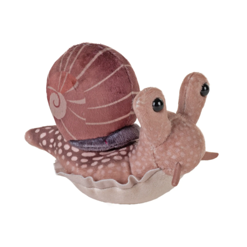 Caracol De Jardín Wild Republic