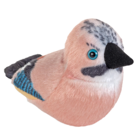 Arrendajo Azul De Wild Republic