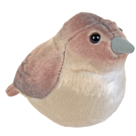 Ruiseñor De Wild Republic