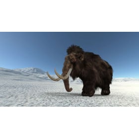 Mamut Lanudo De Wild Republic 2