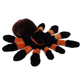 Tarántula De Wild Republic