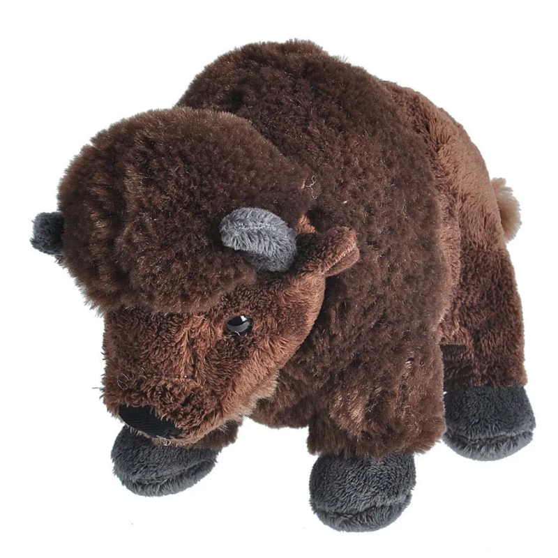 Bisonte Americano De Wild Republic