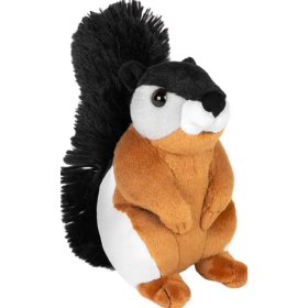 Ardilla De Prevost De Wild Republic