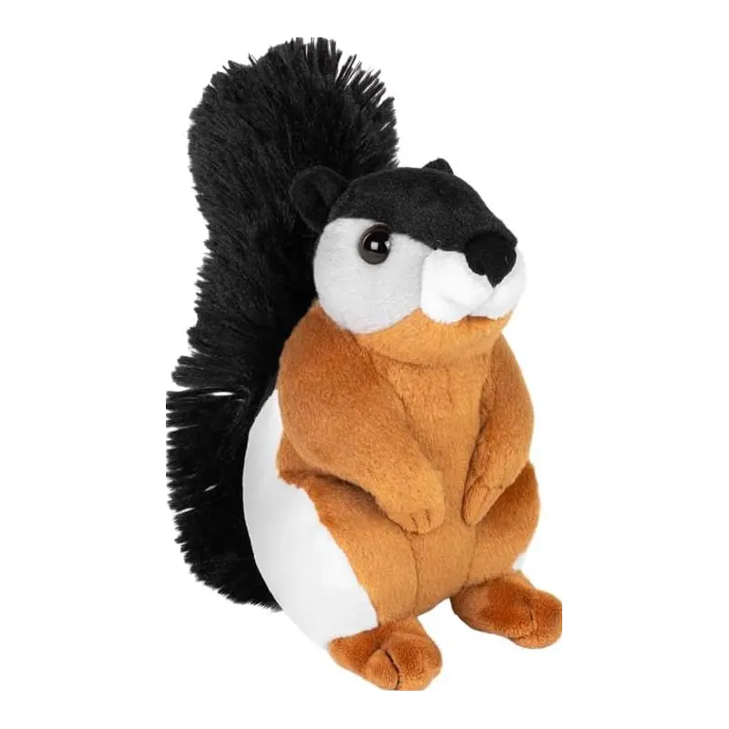 Ardilla De Prevost De Wild Republic