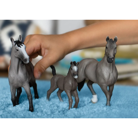 Schleich Potro Cheval de Selle Français 2