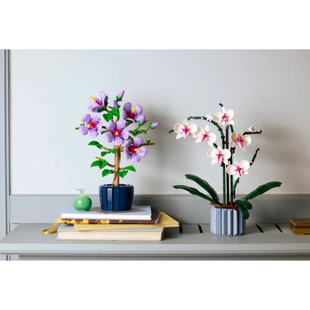 LEGO Botanicals Hibisco